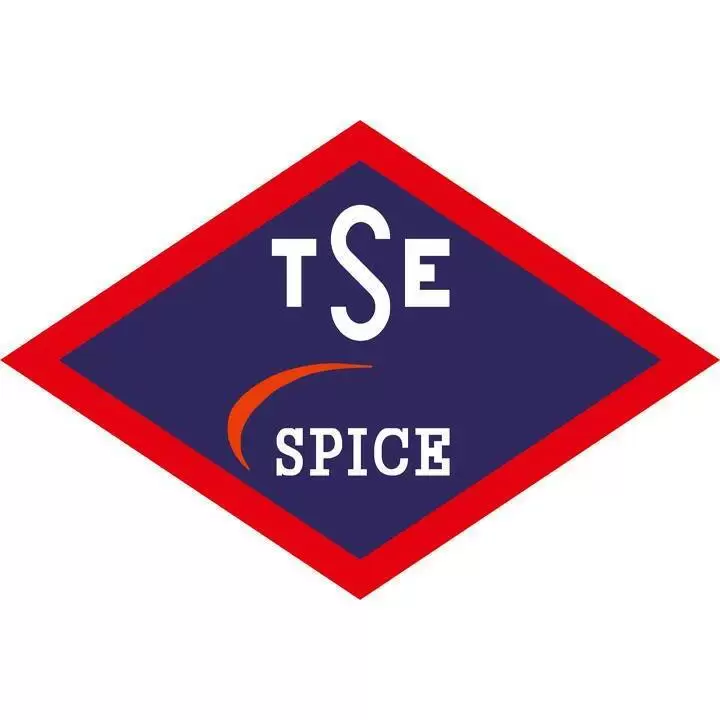 ISO/IEC 15504 SPICE